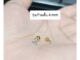 จิวหู สแตนเลสรุ่นก้าน 0.8 mm.ยาว 4 mm. (ราคา 1 ชิ้น)