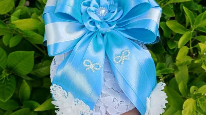 เน็ตติดผมพยาบาล โบว์ติดผม กิ๊บติดผม มีหลายสีให้เลือก