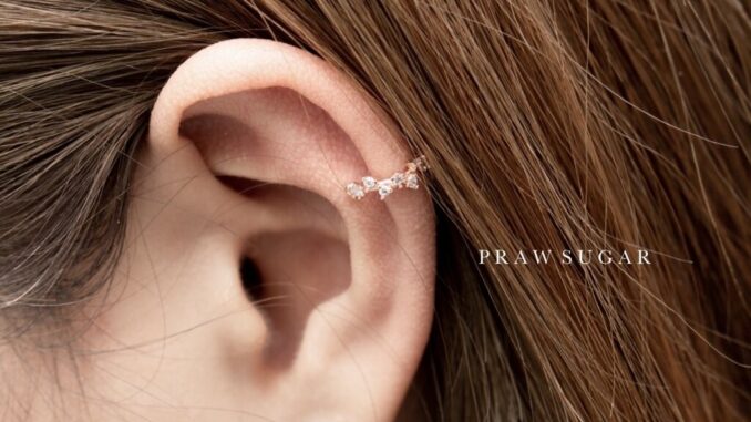 Little Glittering Earcuff - ต่างหูแบบเกี่ยวกลิตเตอร์ (มี 2 สี) Little Glittering Earcuff - ต่างหูแบบเกี่ยวกลิตเตอร์ (มี 2 สี)