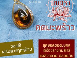 คดมะพร้าว สุดยอดของมงคลฤทธิ์ NC-633 เครื่องเสริมดวงการงาน เสริมการเงิน