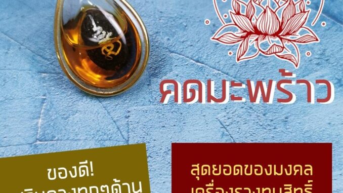 คดมะพร้าว สุดยอดของมงคลฤทธิ์ NC-633 เครื่องเสริมดวงการงาน เสริมการเงิน คดมะพร้าว สุดยอดของมงคลฤทธิ์ NC-633 เครื่องเสริมดวงการงาน เสริมการเงิน