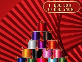 เอ็นยืด | Stone String (ขนาดยาว 50 เมตร)