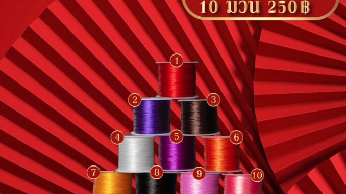 เอ็นยืด | Stone String (ขนาดยาว 50 เมตร)