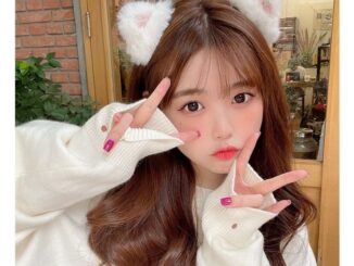 ‼พร้อมส่งจากไทย‼กิ๊บติดผมหูแมว ขนฟูนุ่มนิ่ม คอสเพลย์ หูแมวปุ๊กปิ๊ก