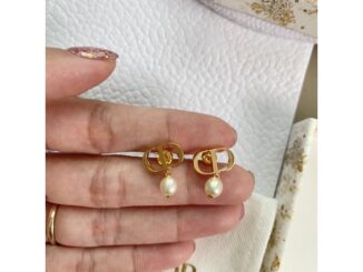⭐️New! Dior earrings