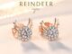 ต่างหู s925 earrings รุ่น กวางเรนเดียร์ Reindeer  ผู้หญิง ต่างหูแฟชั่น ของขวัญ เครื่องประดับ minimal