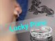 [Lucky Pixiu Earrings] ต่างหูเข็มเงิน 925 รูปไม้กางเขน ไม่ซีดจาง สไตล์เกาหลี ญี่ปุ่น แฟชั่น สําหรับผู้ชาย
