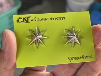 ดาวร้อยตำรวจหญิง ชุบทองคำขาว หมุดเกลียว