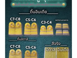 ⚡️ส่งเร็ว⚡️อินทรธนู อินทรธนูชุดกากี บ่ากากี บ่าชุดกากี บ่าข้าราชการ