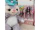 สินค้าในไลฟ์สดกดตามจำนวนชิ้นที่น้ำหนักไม่เกินขั้นต่ำกดลิงค์นี้ได้เลยนะคะ