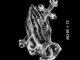 【Mars Tattoo】ใหม่ สติกเกอร์รอยสักชั่วคราว กึ่งถาวร 2 สัปดาห์ ติดทนนาน D132