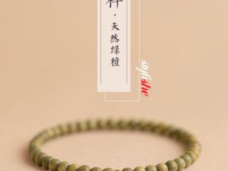 สร้อยข้อมือ ประดับลูกปัดไม้จันทน์ สีเขียว สไตล์จีนวินเทจ เครื่องประดับ สําหรับคู่รัก