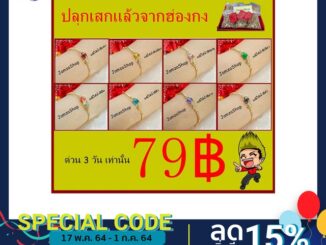 ปลุกเสกจากฮ่องกง!!!พร้อมส่ง ปี่เซี๊ยะคาบเหรียญสร้อยข้อมือปี่เซียะมณีใต้น้ำสีประจำวันเกิด