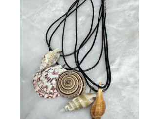สร้อยเปลือกหอยแท้ ราคาเส้นละ 35 บาท
