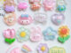 10 ชิ้น / เซต ดอกไม้ใส สายรุ้ง สัตว์เรซิ่น ด้านหลังแบน เคสโทรศัพท์ วัสดุตกแต่ง DIY กิ๊บติดผม อุปกรณ์เครื่องประดับ