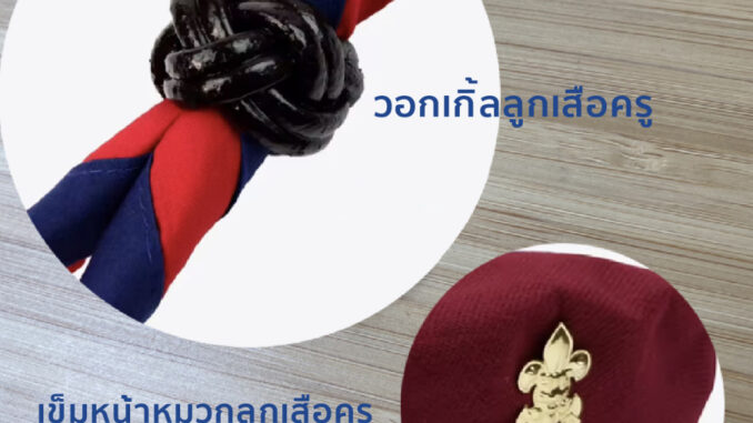 (พร้อมส่ง) วอกเกิ้ลลูกเสือครู เข็มติดหน้าหมวกลูกเสือครู วอกเกิ้ลลูกเสือ วอกเกิ้ลหวาย เข็มหน้าหมวกลูกเสือ