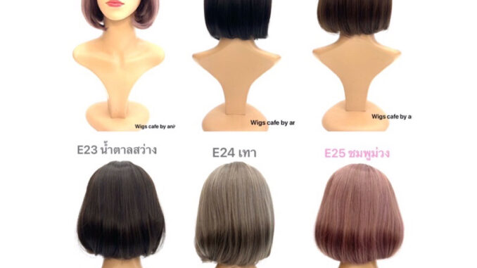 E21-E25 วิกเต็มศรีษะ รุ่น 3161-25cm. E21-E25 วิกเต็มศรีษะ รุ่น 3161-25cm.