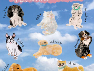 พร้อมส่ง กิ๊บติดผมรูปน้องหมาสุดน่ารัก อัพลุคให้ cute ขึ้นได้ง่ายๆ M1 Mellow