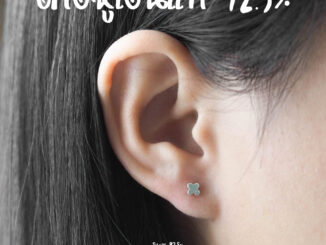 ต่างหูเงินแท้ 925 ต่างหูใบโคลเวอร์ ขนาด 5 มิล [ราคา1คู่] ต่างหูมินิมอล ต่างหูเงิน ตุ้มหูเงินแท้ ตุ้มหูเงิน ต่างหูเล็กๆ