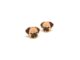 ต่างหูปั๊ก (Gubjung & Friends Pug earring)
