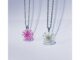 YAMON สร้อยคอดอกเอมิมาจัส (Ammi majus) สร้อยคอสแตนเลส จี้ดอกไม้จริง