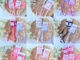พร้อมส่ง ร้าน  กิ๊บโบว์หางยาว กิ๊บริบบิ้น โบว์เจนนี่ จีซู