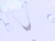 สร้อยคอเงินแท้ 92.5% Mini Flutterfly ✨  [E9-1]
