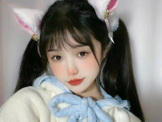 กิ๊บติดผม รูปหูแมว แบบนิ่ม น่ารัก เครื่องประดับ สําหรับเด็กผู้หญิง