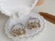 Hadesories Duo Hoop Earrings ต่างหูห่วงสีเงินพร้อมห่วงห้อยสีทองแบบถอดได้