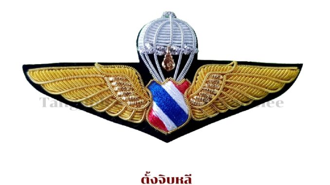 ปีกร่มเหินเวหาทหารอากาศปักดิ้น