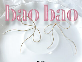 Nice Accident BAOBAO Special Design Bow Earrings | ต่างหูโบว์ดีไซน์พิเศษ งานน่ารักมาก