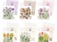 Flgo ดอกไม้ประดิษฐ์ หลากสีสัน สําหรับ DIY