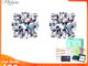 Petchara Jewelry ต่างหูเพชรโมอีส 1 กะรัต น้ำ 100-98 เงินแท้ 92.5% D-VVS1 : D3017