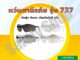 แว่นตา รุ่น 737 (ส่งทุกวัน) | แว่นตานิรภัย แว่นตาเซฟตี้ แว่นตาปั่นจักรยาน