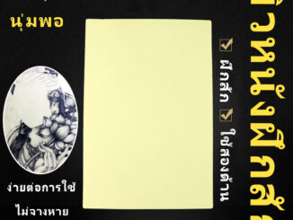 หนังเทียม อุปกรณ์สัก หนังสัก หนังเทียมหัดสัก เครื่องสัก แผ่นหนังเท แผ่นซีลิโคนเทียมสัก สีสักชุดสัก ซิลิโคนหัดสัก