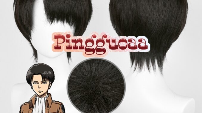 Anime Attack on Titan Levi Ackerman 30cm Black Brown Short Heat Resistant Synthetic Wigs