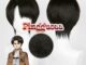 Anime Attack on Titan Levi Ackerman 30cm Black Brown Short Heat Resistant Synthetic Wigs