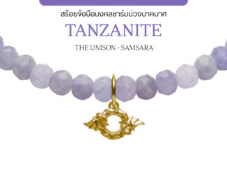Harmenstone สร้อยข้อมือมงคลชาร์มบ่วงนาคบาศ อัญมณี Tanzanite -The Unison - Samsara[พร้อมส่ง 5-7 วัน]