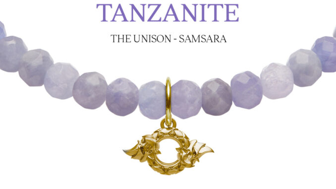 Harmenstone สร้อยข้อมือมงคลชาร์มบ่วงนาคบาศ อัญมณี Tanzanite -The Unison - Samsara[พร้อมส่ง 5-7 วัน]