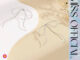 ต่างหูโบว์ ต่างหูเส้น รูปโบว์ สีเงิน 1 คู่ พร้อมส่ง! (#P1)