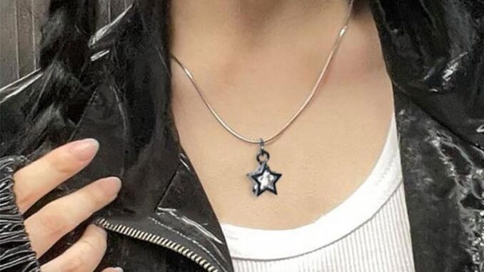 Arin สร้อยคอ จี้โลหะอัลลอย ชั้นเดียว รูปดาว เรียบง่าย
