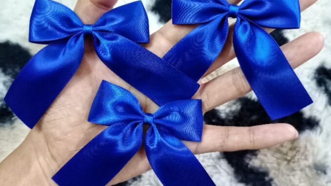 กิ๊ปไซส์ S โบว์นักเรียน(สีน้ำเงิน) ริบบิ้นกว้าง 1" (2.5 cm) กิ๊ปไซส์ S โบว์นักเรียน(สีน้ำเงิน) ริบบิ้นกว้าง 1" (2.5 cm)