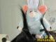 พร้อมส่ง เครื่องประดับผม Disney Mouse ที่คาดผมทําอาหาร รูปตุ๊กตาดิสนีย์ คิงส์น่ารัก ของขวัญวันเกิด