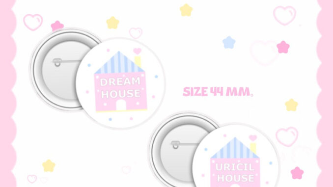 เข็มกลัด House brooch 44mm.(hologram star)