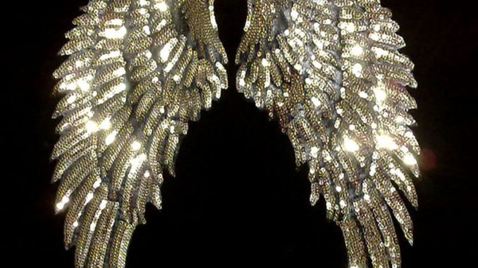 แผ่นแพทช์ ปักเลื่อม ขนาดใหญ่ 35 ซม. x 16.5 ซม. สําหรับเสื้อผ้า กางเกงยีน DIY 1 คู่