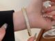 DREJEW สร้อยข้อมือ ประดับลูกปัดเพทาย ทอง 18K ทรงกลม เรียบง่าย สไตล์ยุโรป และอเมริกา สําหรับผู้หญิง