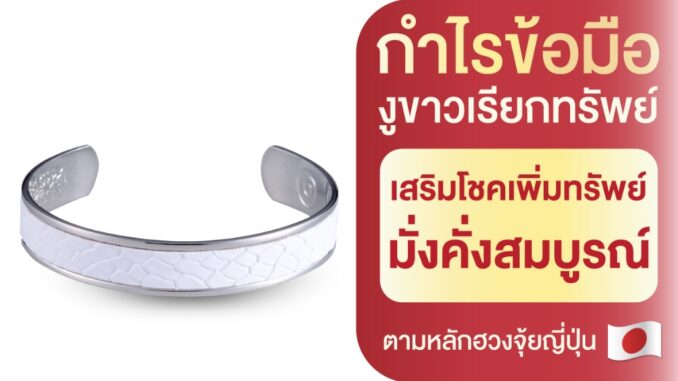 กำไลข้อมืองูขาว เรียกทรัพย์ เสริมดวง เครื่องราง มงคล กำไลข้อมือ นำโชค ฮวงจุ้ย โชคลาภ เงินทอง หนังงู งูขาว เรียกเงิน