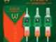 AVA AQUA CARTRIDGE NEEDLES 10 pcs.