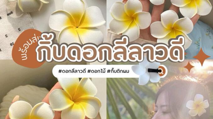 กิ้บดอกลีลาวดี1คู่2ชิ้น กิ้บดอกลีลาวดี1คู่2ชิ้น