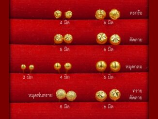 Sale!! ต่างหูทอง⚡ ต่างหูหุ้มทอง ชุบทอง 5 ไมครอน ใส่อาบน้ำ*เก็บปลายทางได้* เซตแป้นเจาะ ต่างหูแป้น